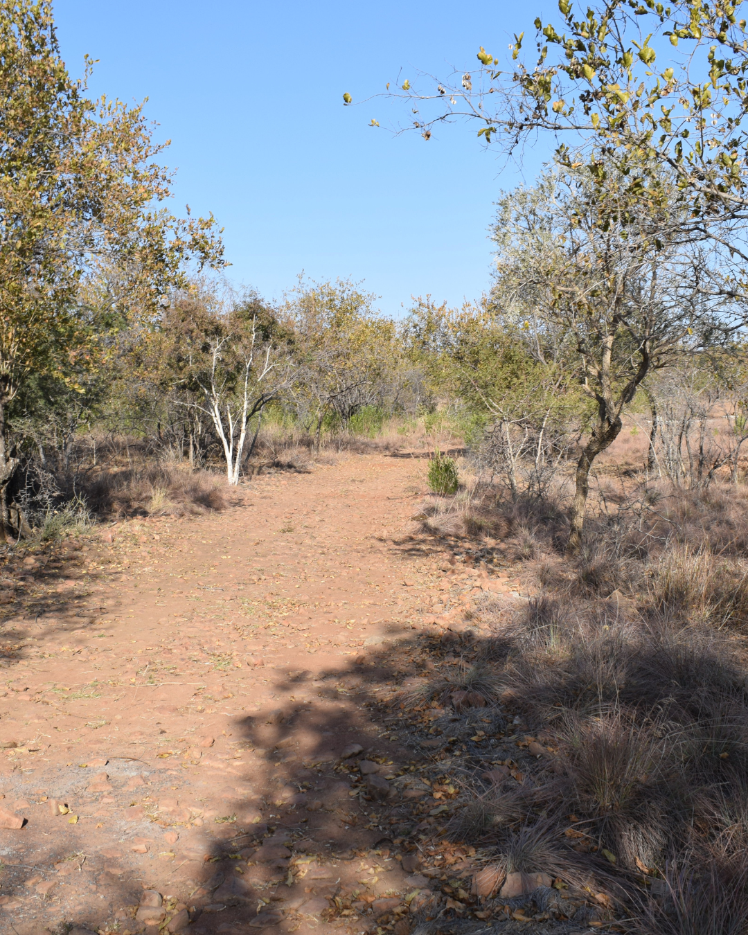 Self-guided bush walk on the property