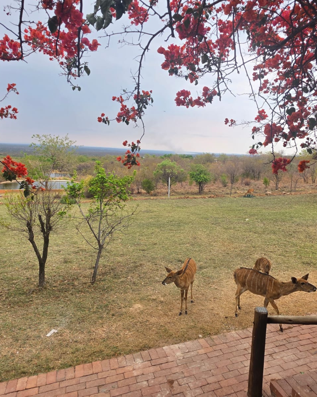Picnic site in the reserve