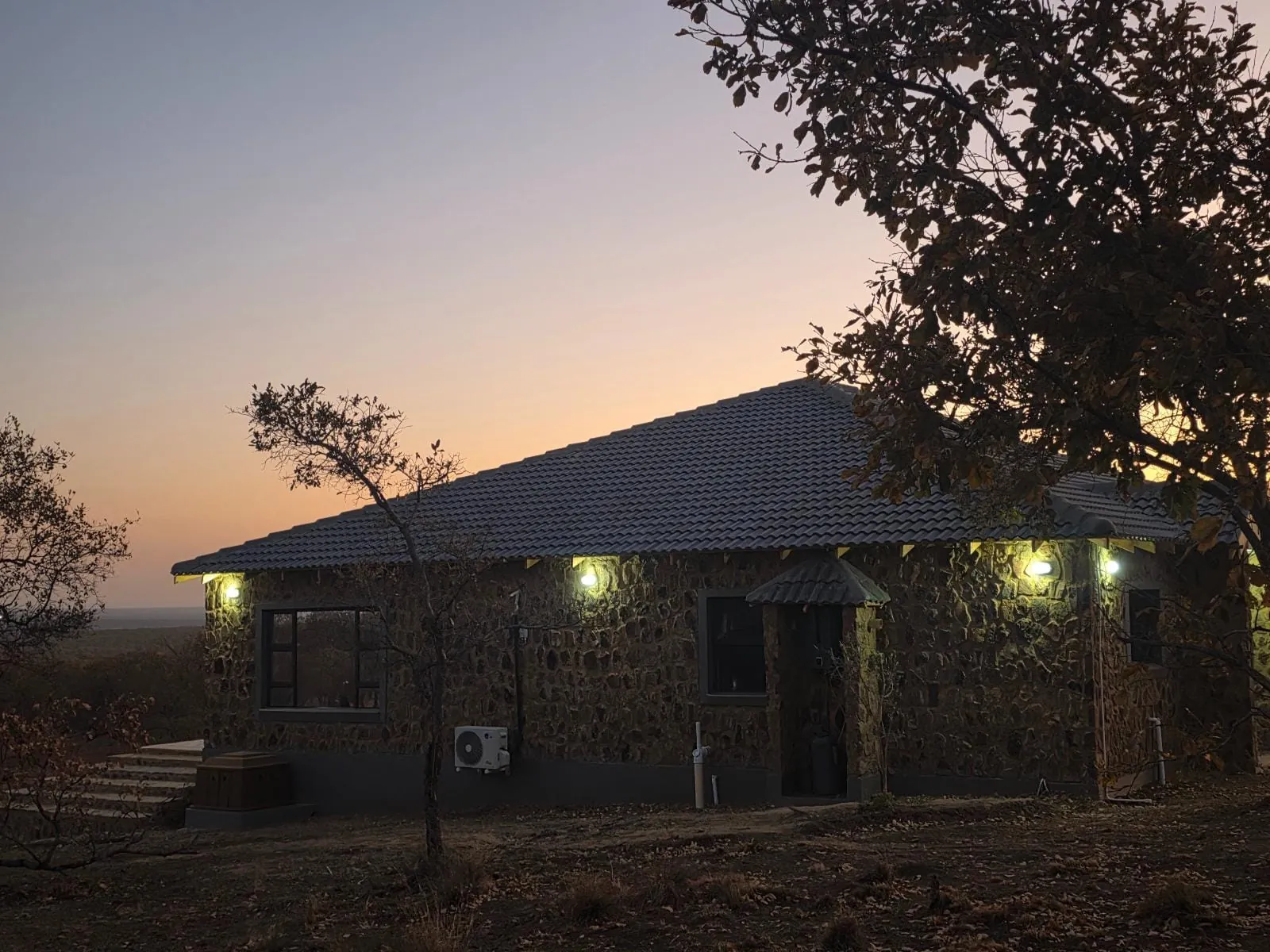 Marula